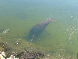 Florida_2007-2008-044